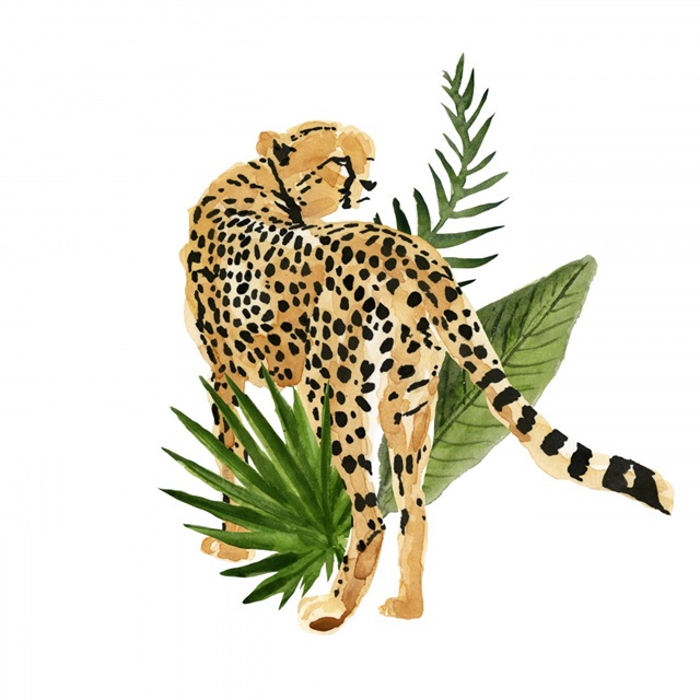 Cheetah Outlook III