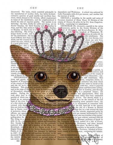 Chihuahua And Tiara