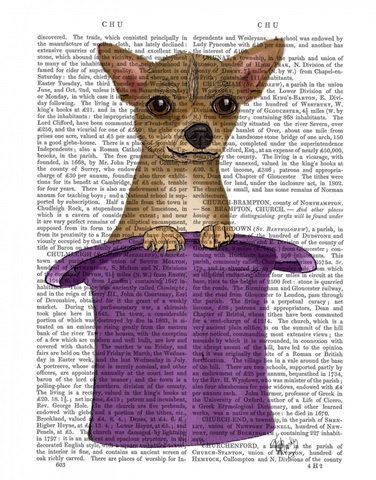 Chihuahua in Top Hat