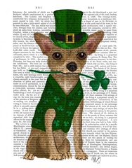 Chihuahua Leprechaun