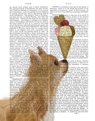 Chihuahua, Long Haired, Ice Cream