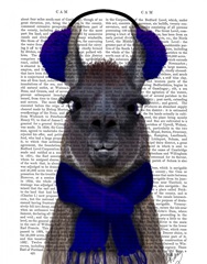 Chilly Llama, Blue