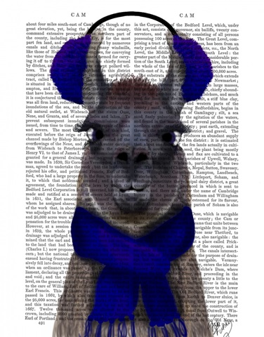 Chilly Llama, Blue