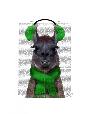 Chilly Llama, Green