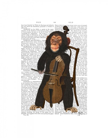 Chimp Playing Cello