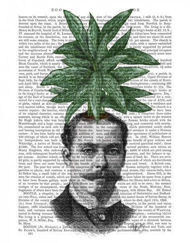 Chinese Evergreen Head Plant Head