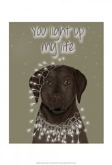 Chocolate Labrador, You Light Up