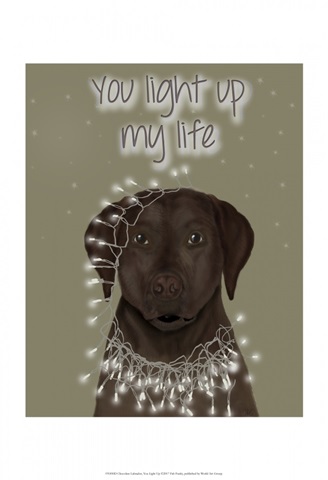 Chocolate Labrador, You Light Up