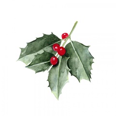 Christmas Holly II