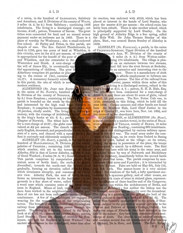 Clockwork Orange Goose
