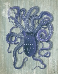 Coastal Life Collection 1 a