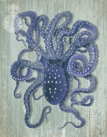 Coastal Life Collection 1 a