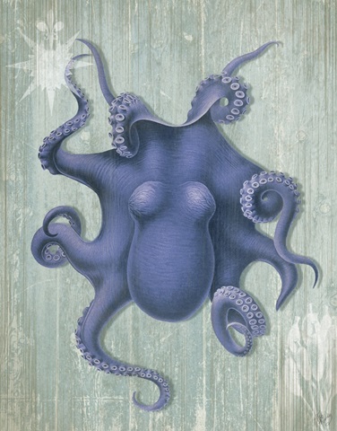 Coastal Life Collection 1 b