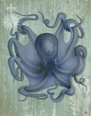 Coastal Life Collection 1 c