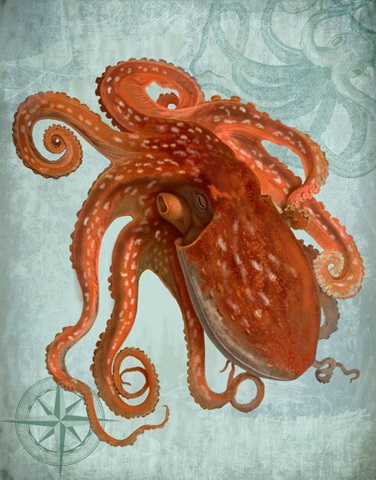 Coastal Life Collection 2 a