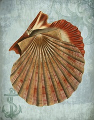 Coastal Life Collection 2 c