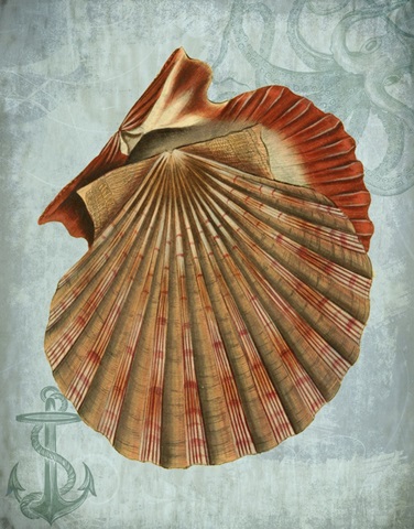 Coastal Life Collection 2 c