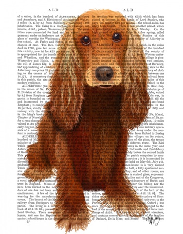 Cocker Spaniel Plain