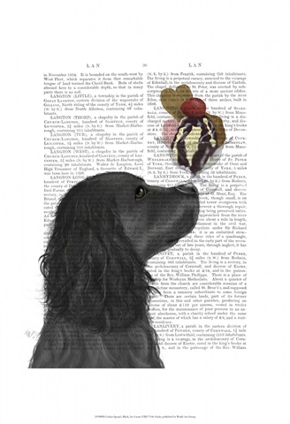 Cocker Spaniel, Black, Ice Cream