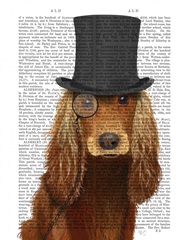 Cocker Spaniel, Formal Hound and Hat