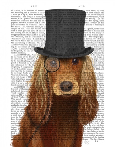 Cocker Spaniel, Formal Hound and Hat