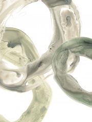 Concentric Lichen III