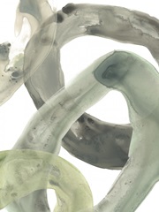 Concentric Lichen IV