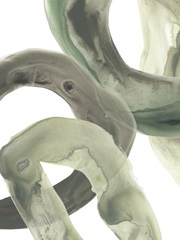 Concentric Lichen VI