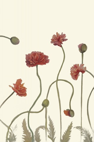 Coral Poppy Display III