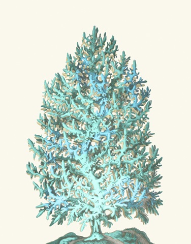 Coral Tree Turquoise on Cream
