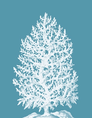 Coral Tree White on Sea Blue