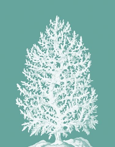 Coral Tree White on Turquoise