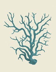 Corals Turquoise On Cream a