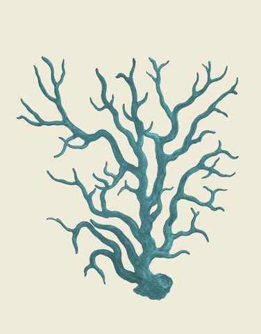 Corals Turquoise On Cream a