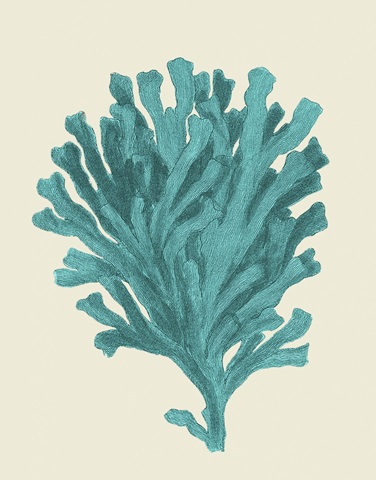 Corals Turquoise On Cream d