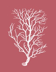 Corals White on Coral b