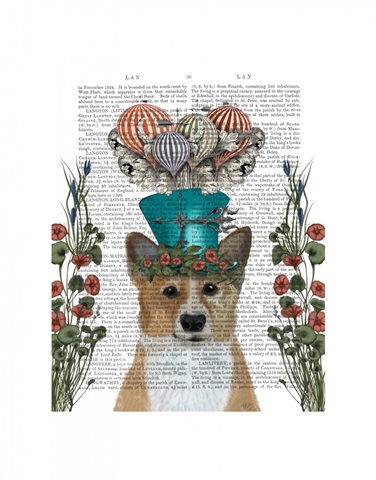 Corgi Milliners Dog