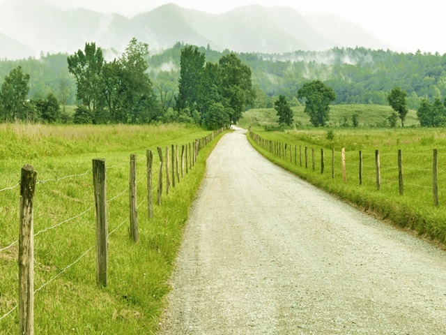 Country Road Photo I