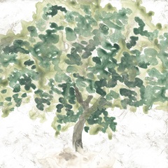 Country Tree II