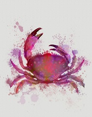 Crab 1 Pink Rainbow Splash