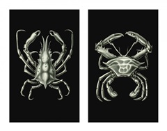 Crabs On Black in 2 panels