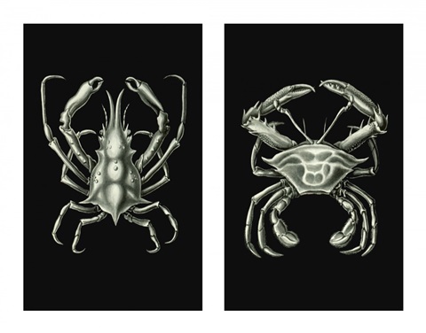Crabs On Black in 2 panels