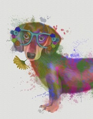 Dachshund And Glasses Rainbow Splash