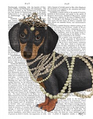 Dachshund and Tiara