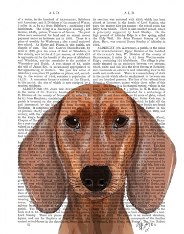 Dachshund Illustration Plain