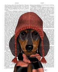 Dachshund in Pink Hat and Scarf