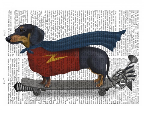 Dachshund On Skateboard