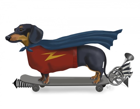 Dachshund On Skateboard