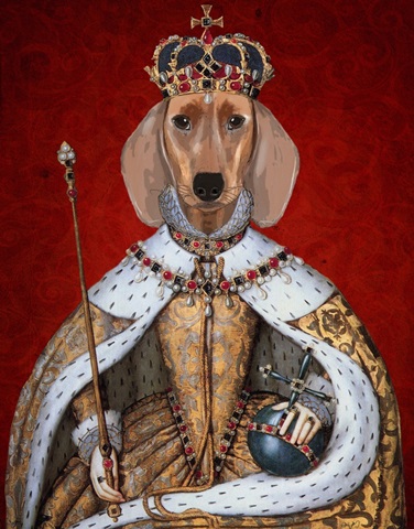 Dachshund Queen