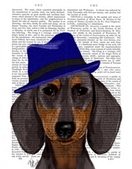 Dachshund With Blue Trilby